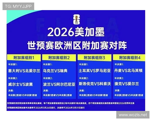 波黑2026世界杯晋级之路分析 阵容短板与突围关键 波黑2026世界杯晋级之路分析 阵容短板与突围关键